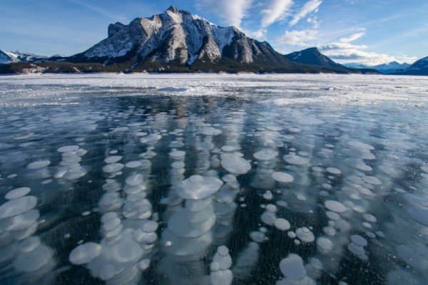 8 Days Rocky Mountains & Abraham Lake Winter Photo Shared Tour